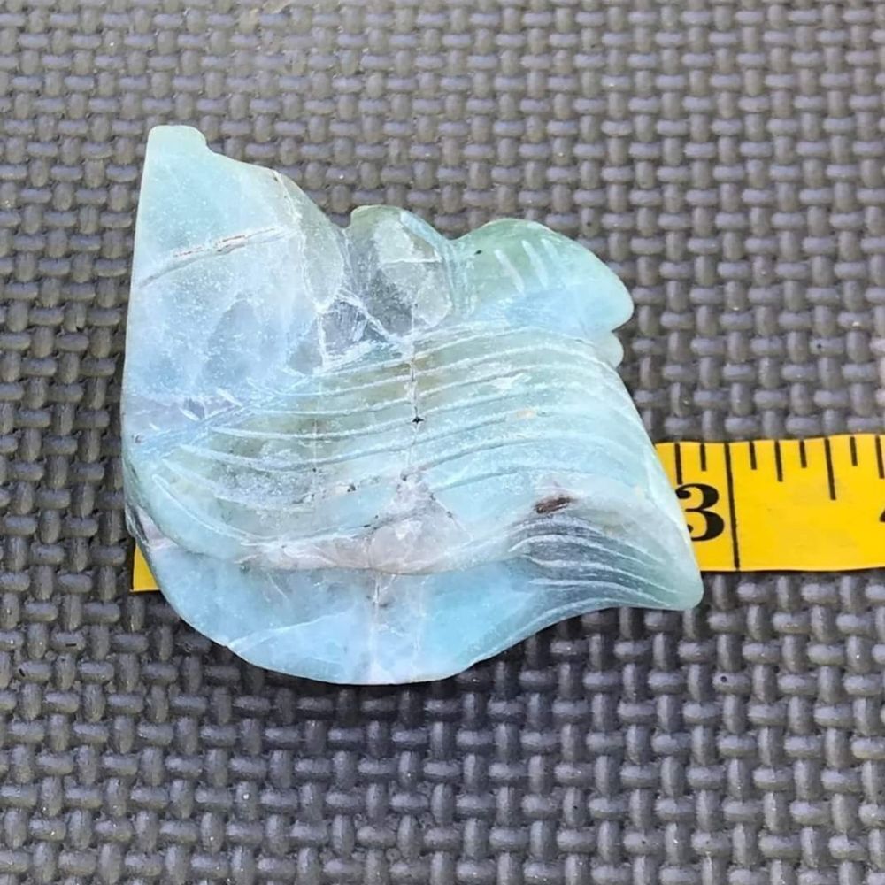 Caribbean Calcite Squirrel - Picture 10 of 10